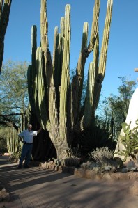 Things may not be as they seem