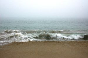 New England and PEI 2009 (106)